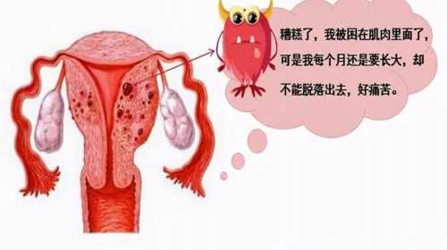 送子鸟供卵价格（北京供卵费用）_供卵怀孕率高吗