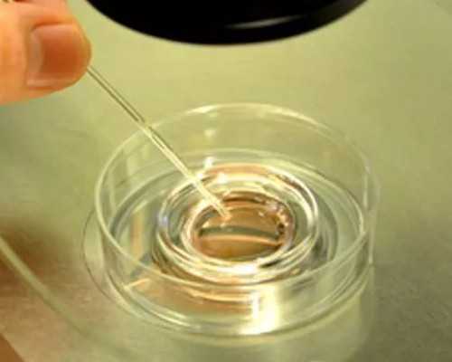 海口试管助孕中介,2026海口*孩子去哪家医院好，附海口*孩子医院排名