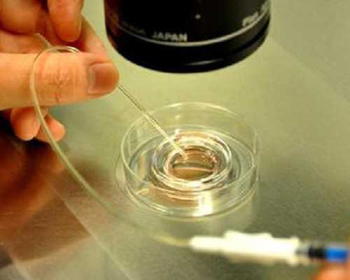 供卵高端机构_供卵医院在哪,天津供卵试管包儿子行不行？附供卵费用介绍？