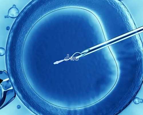 怀孕打掉最好的办法_怀孕初期可以同房吗,2026中南大学湘雅医院试管婴儿成功率