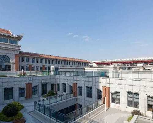 移植后怎样塞雪诺酮效果更好？雪诺酮塞的浅有没有效果？,供卵代生套餐