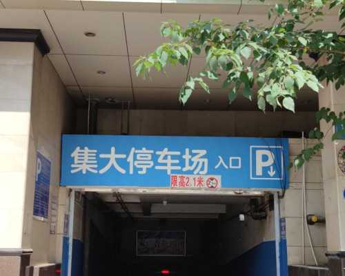 海口代生助孕服务机构,海口玛丽亚医院做试管怎么样