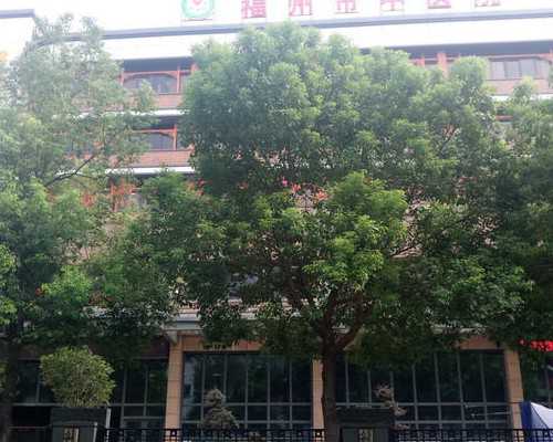 海口代怀生儿子电话,海口助怀孕的药有哪些？海口正规试管婴儿医院名单？