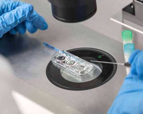 育儿知识大全幼儿园_育儿心得,丈夫有无精症可以直接做供精试管婴儿助孕吗