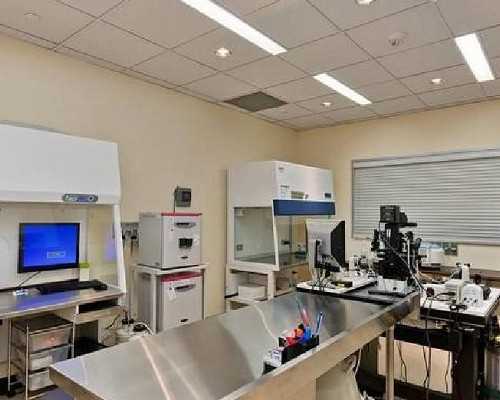 吃克罗米芬怀孕几率？克罗米芬怀孕成功率,代生试管助孕