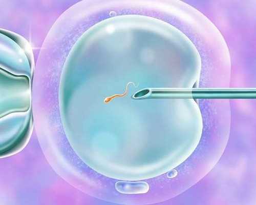 育儿知识大全下载_育儿知识大全微信,三代试管能够选择男女吗？三代试管选男